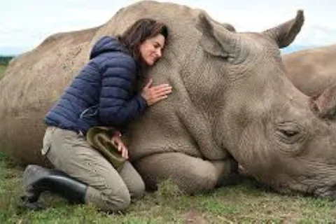 Day Tour to Ol-Pejeta Conservancy
