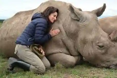 Excursión de un día a la Reserva Natural de Ol-Pejeta