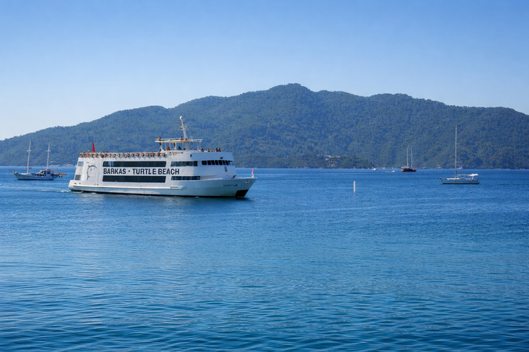 Marmaris: Turtle Beach, Mud Bath and Thermal Pool By Boat Marmaris Turtle Beach Tour w/Boat