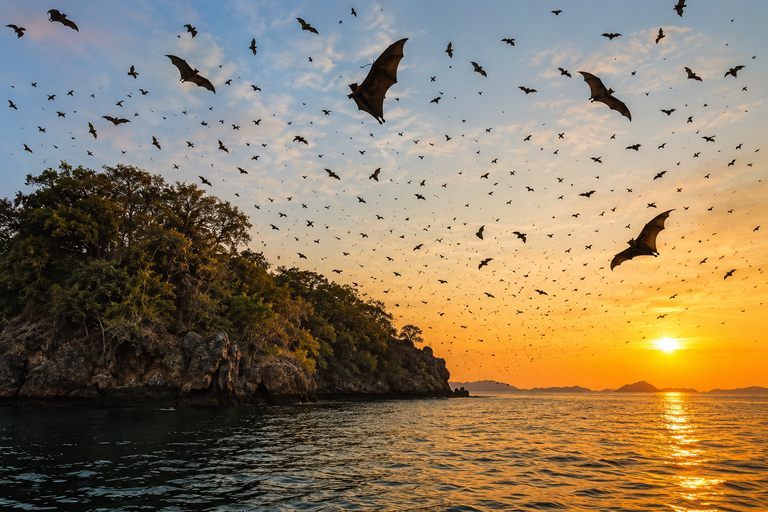 Labuan Bajo: 3-Day Komodo Sailing Ocean View Cabin All Fees Standard Boat | Sharing Room Ocean View | Tiket not Included