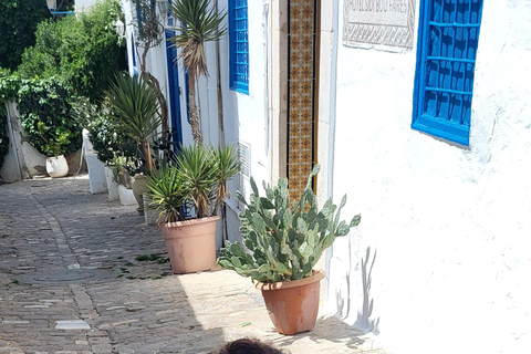 Tunis erkunden: Historische Medina und das charmante Sidi Bou Said