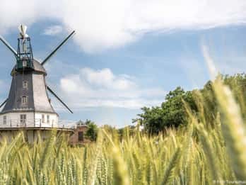 Amrum: Daytrip by boat to Föhr