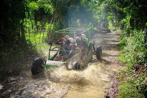 Buggies & Horses: Tropical Adventure with Beach, Nature, and Adrenaline Buggy & Horseback Riding: Tropical Adventure with Beach, Nature and Adrenaline