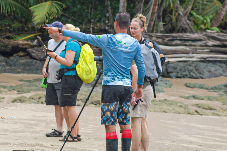 Uvita: Corcovado Rainforest & Wildlife Adventure