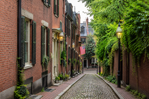 Boston in 1 Day: History, Universities and Much More Sightseeing tour in English