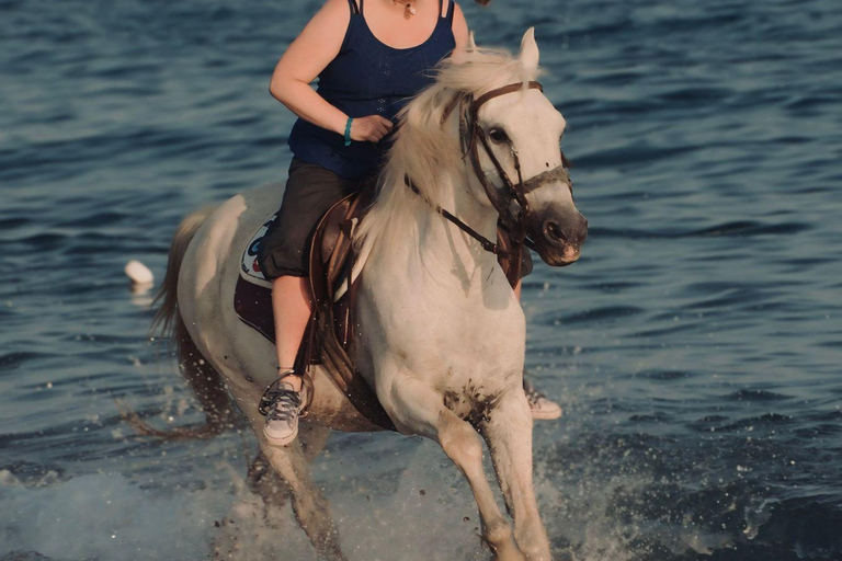 Side: Horseback Riding Adventure with Hotel Pickup