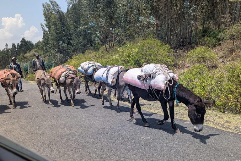 Blue Nile Gorge Wildlife & Cultural Day Trip