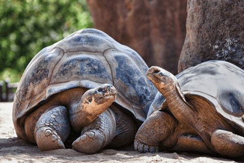 Tour de 9 días al aire libre en Galápagos