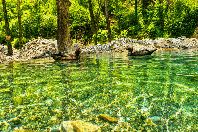 Alanya: Tour to Sapadere Canyon Cold Pools, Cave & Mountains FULL SAPADERE ADVENTURE (canyon included)