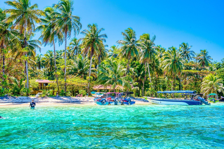 Punta Cana: Private Catalina Island Snorkeling Trip with