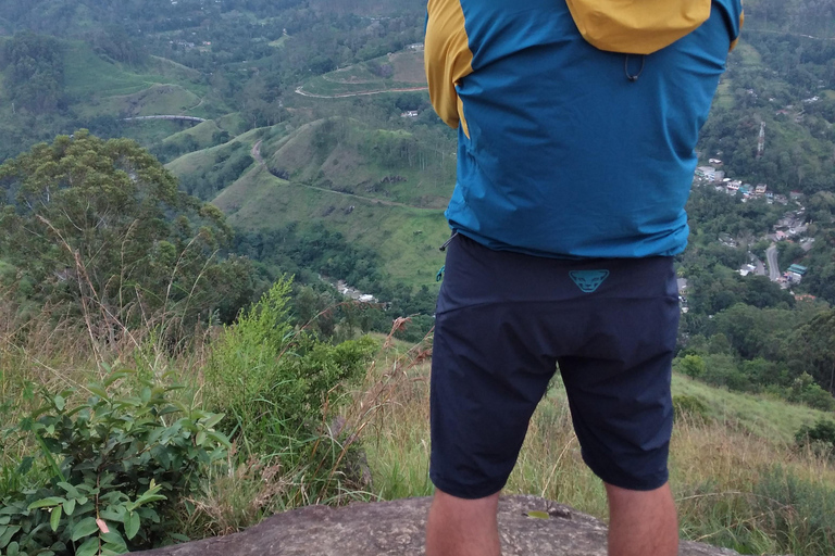 Ella : excursion d&#039;une journée inoubliable et tour en trainElla : excursion d&#039;une journée inoubliable et balade en train