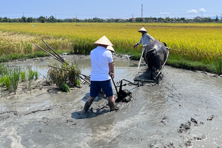 An incredible Hoi An - Water buffalo riding & cooking class