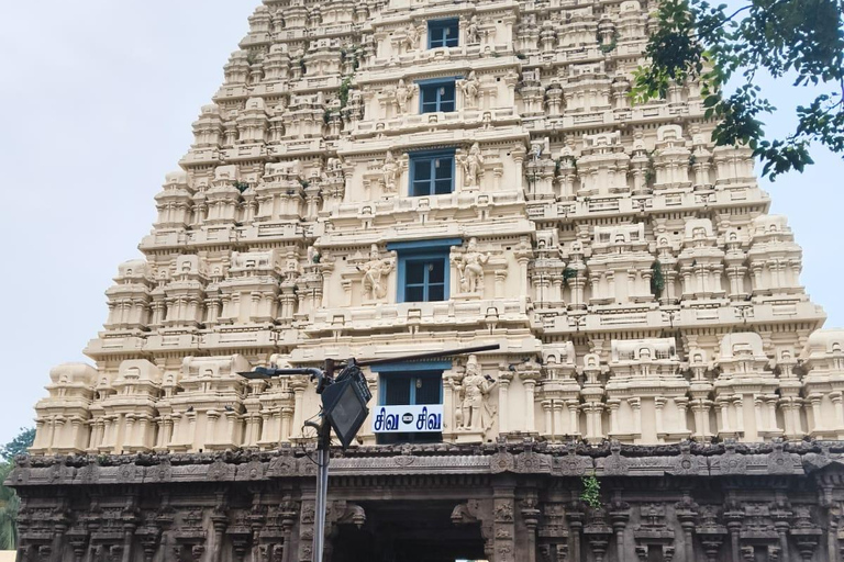 From Chennai: 6-Day Tamil Nadu Temple Tour with Guide