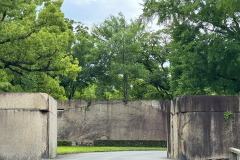 Osaka: Osaka Castle Tour in de vroege ochtend - Vermijd de drukte, 1.5u