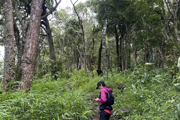 Chiang Mai: Hmong Village, Doi Suthep and Wat Pha Lat Trek