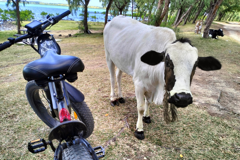 Autentyczna wycieczka z przewodnikiem na rowerze elektrycznym po północnym wybrzeżu