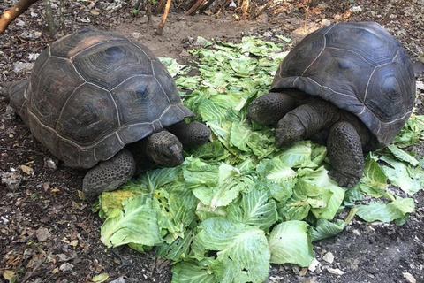 Zanzibar: Nungwi kilosa Conservation zoo half day tour Private tour for the gusts from Nungwi only