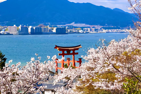 Hiroshima: Private Hiroshima & Miyajima Day Trip with Car