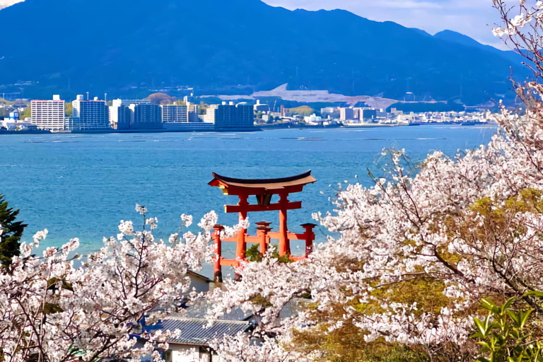 Hiroshima: Private Hiroshima & Miyajima Day Trip with Car