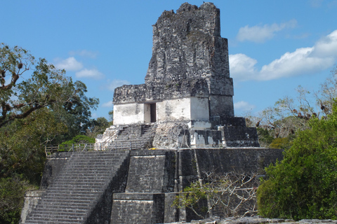 From Flores: Tikal Ruins Sunrise Guided Tour