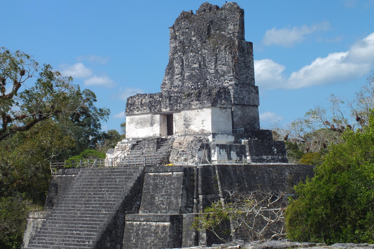 From Flores: Tikal Ruins Sunrise Guided Tour