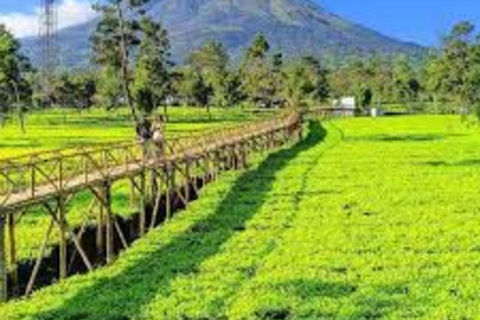 从日惹出发的日出西库尼尔山和迪恩高原之旅从日惹到日出 Sikunir 和 Dieng 高原之旅