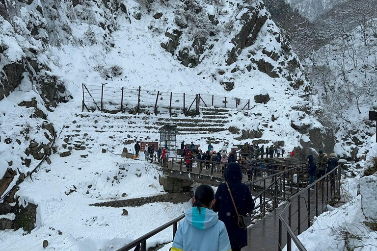 Tokyo: Private Nagano Tour with English speaking driver