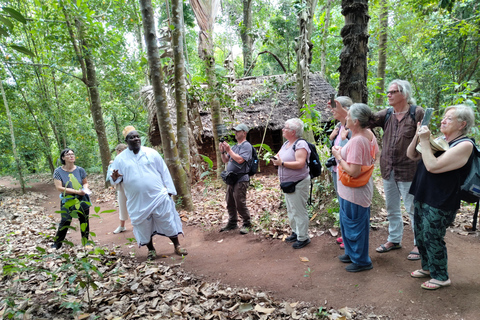 Zanzibar: Organic Spice Farm Tour With Fruit Tasting
