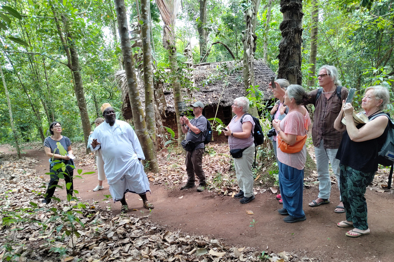 Zanzibar: Organic Spice Farm Tour With Fruit Tasting