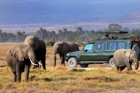 Nairobi: Amboseli National Park Tagestour mit Masai Dorf