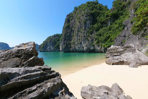 2/3-Day Halong & Lan Ha Bay Erina 5* Cruise balcony, bathtub 3-Days Cruise with Transfer from/to Hanoi or Ninh Binh