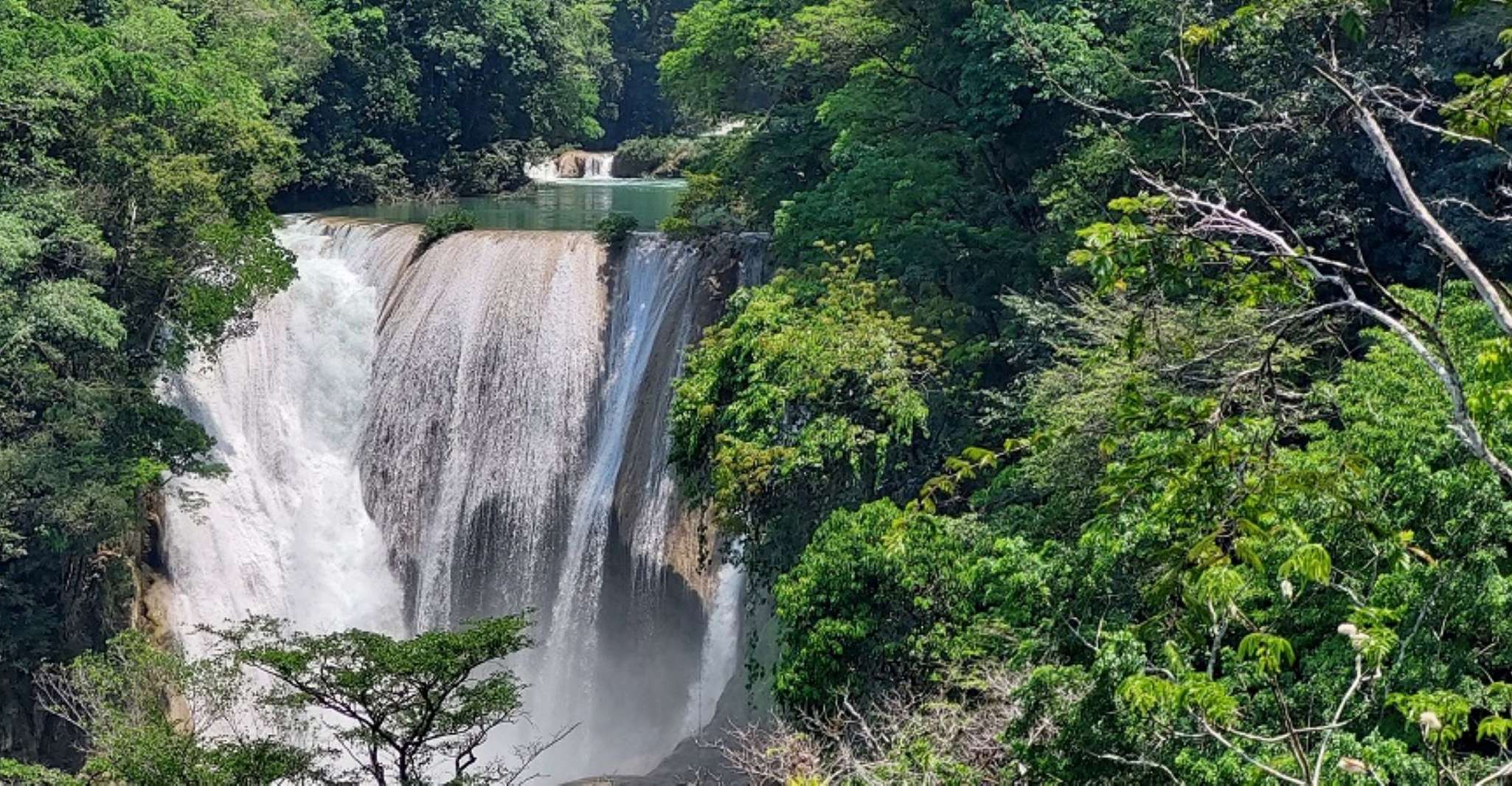 From Palenque, Roberto Barrios and El Salto Waterfalls Tour - Housity