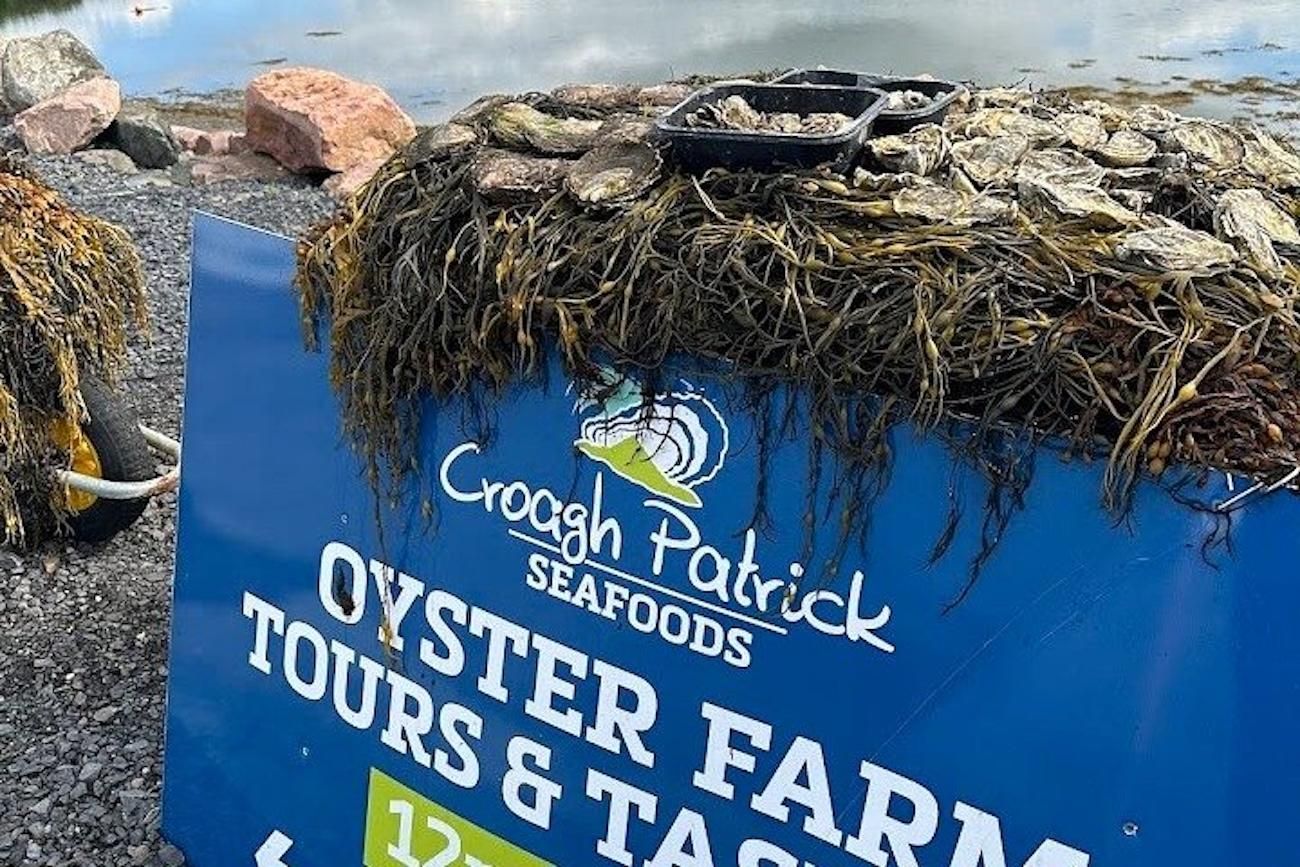 Mit dem E-Bike zur Oyster Farm Bar – Café & Meeresfrüchte-Verkostung