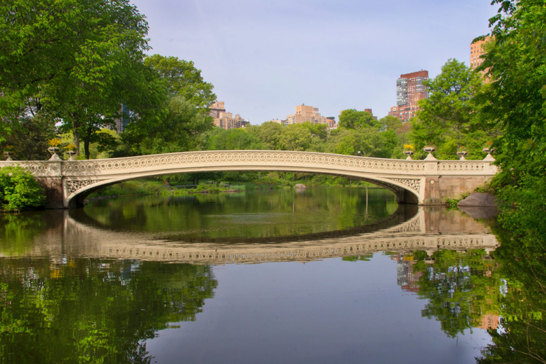 纽约顶级单车观光之旅：中央公园精华巡礼30 分钟