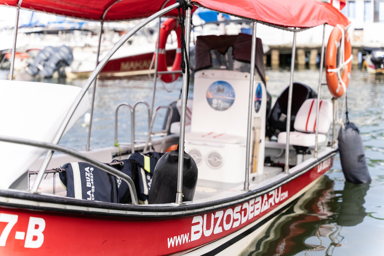 Cartagena: barco particular para as ilhas Rosário e Baru