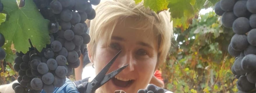 Majorque : visite de caves XL - incluant 3 dégustations de vin