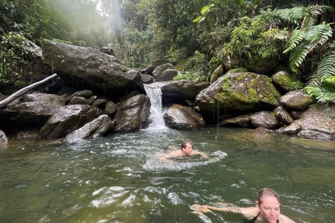Randonnée dans les cascades cachées d'El Yunque avec transport