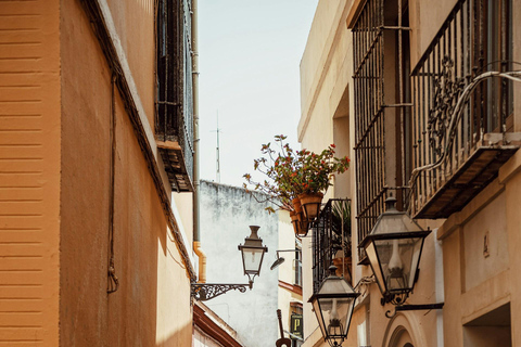 Top Portugal Tour: 7-Day with Transfers, Hotel & Breakfasts