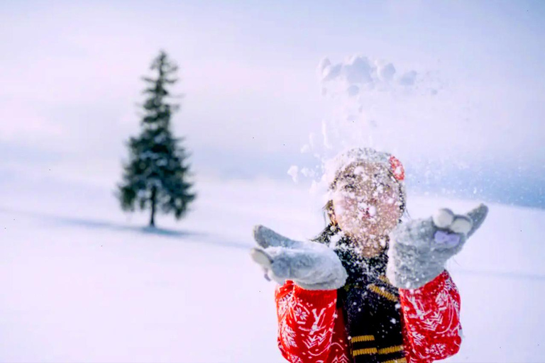 Hokkaido:Dierentuin Asahiyama, Shirahige watervallen & Biei vijver dagtourVanuit Sapporo: Dierentuin van Hokkaido, Shirahige watervallen & Biei vijver tour