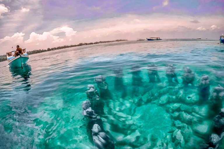 Lombok: Private Snorkeling,Gili Trawangan,Gili Meno,Gili Air Start From: Tetebatu/Lembar Port/Gili Mas Port