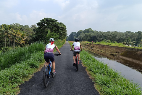 Tour in bici di 11 giorni alla scoperta delle spezie del Kerala