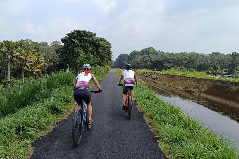 Tour in bici di 11 giorni alla scoperta delle spezie del Kerala