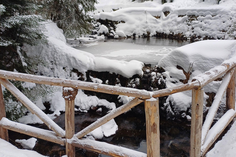 博罗韦茨徒步和雪橇之旅，参观比斯特里察皇家宫殿博罗维茨徒步和雪橇之旅，参观比斯特里察皇家宫殿