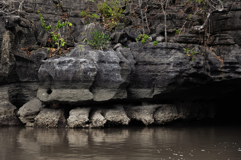 Langkawi Mangrove boottocht op de rivier en privéstrandtourMedium boot (9-12 personen)