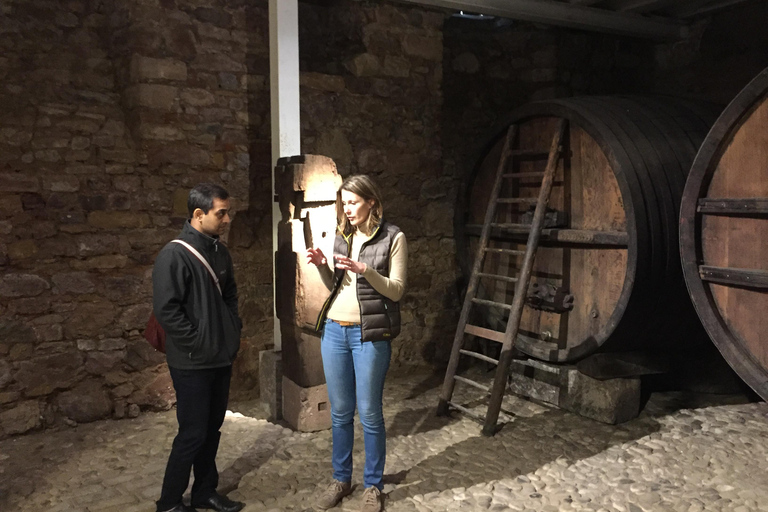 Alsace Villages and Colmar with Wine Tastings