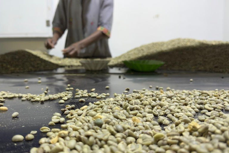 Addis Ababa: Coffee Culture Tour with Market & Roastery Private Addis offee Tour with Roasting, Cupping & Market …