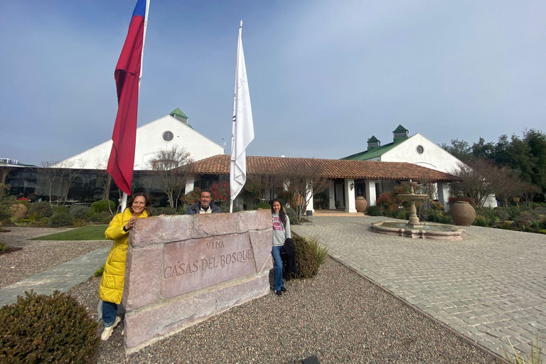 Farellones and Casablanca Valley: Private Mountain Tour and Premium Wines