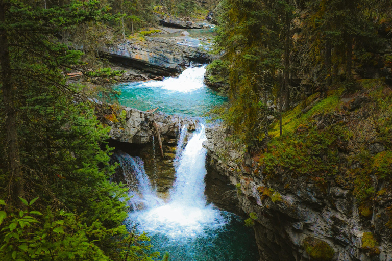 NEW Emerald Lake, Louise, Takakkaw Falls & Johnston Canyon Banff Tour: Louise & Emerald Lake, Falls and Johnston Canyon
