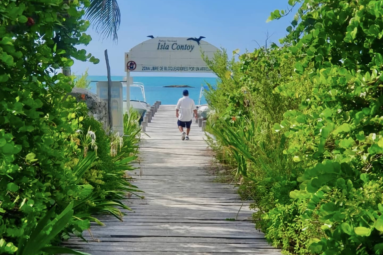 Depuis Cancun ou Riviera Maya : excursion à Isla Contoy et Isla MujeresCircuit depuis Playa del Carmen et Puerto Morelos