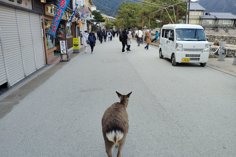 Hiroshima: 5.5-Hour Highlights Tour with Professional guide